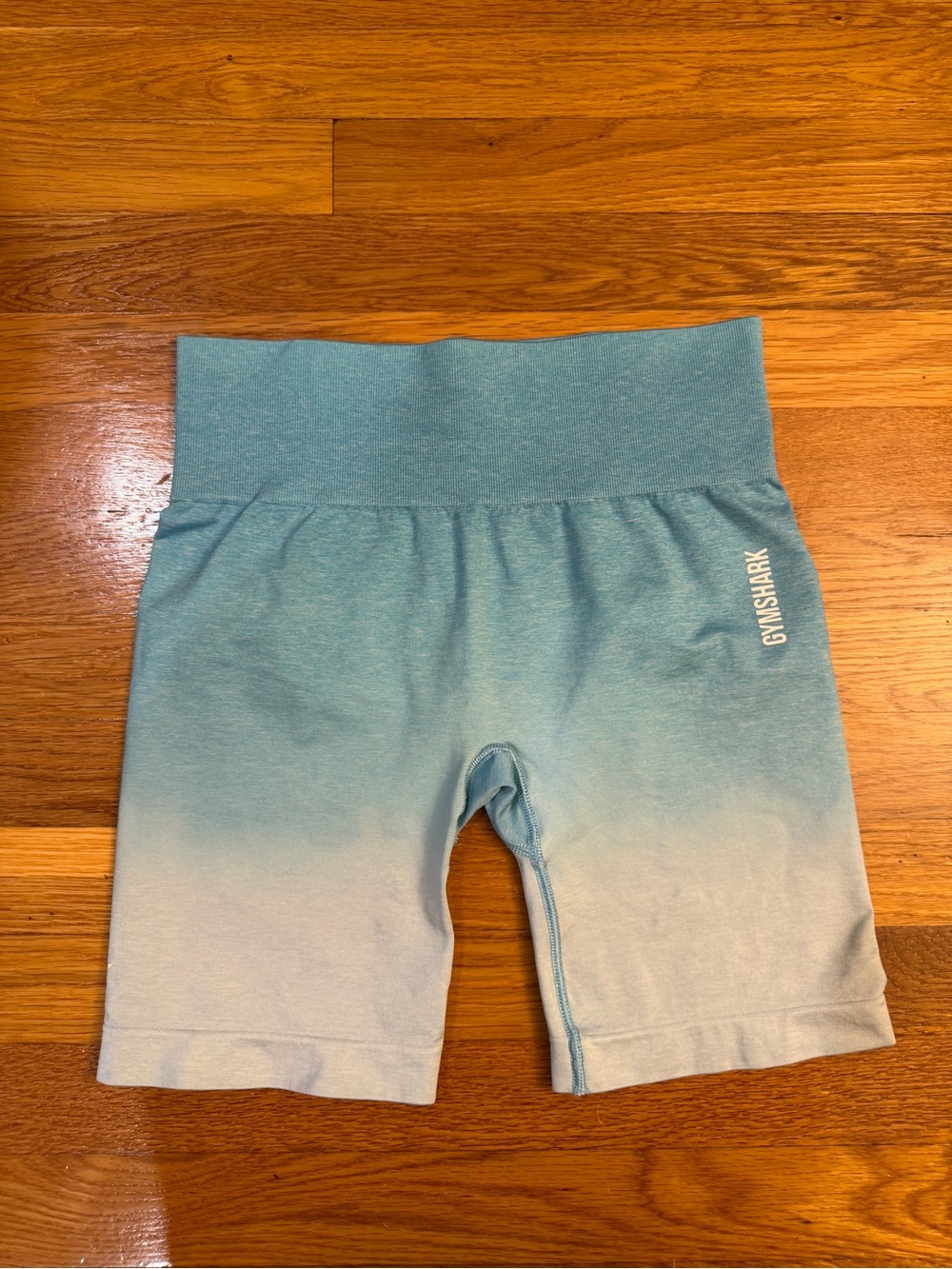 Gymshark Adapt Ombré Blue Gradient Seamless Bike Shorts - Size Large